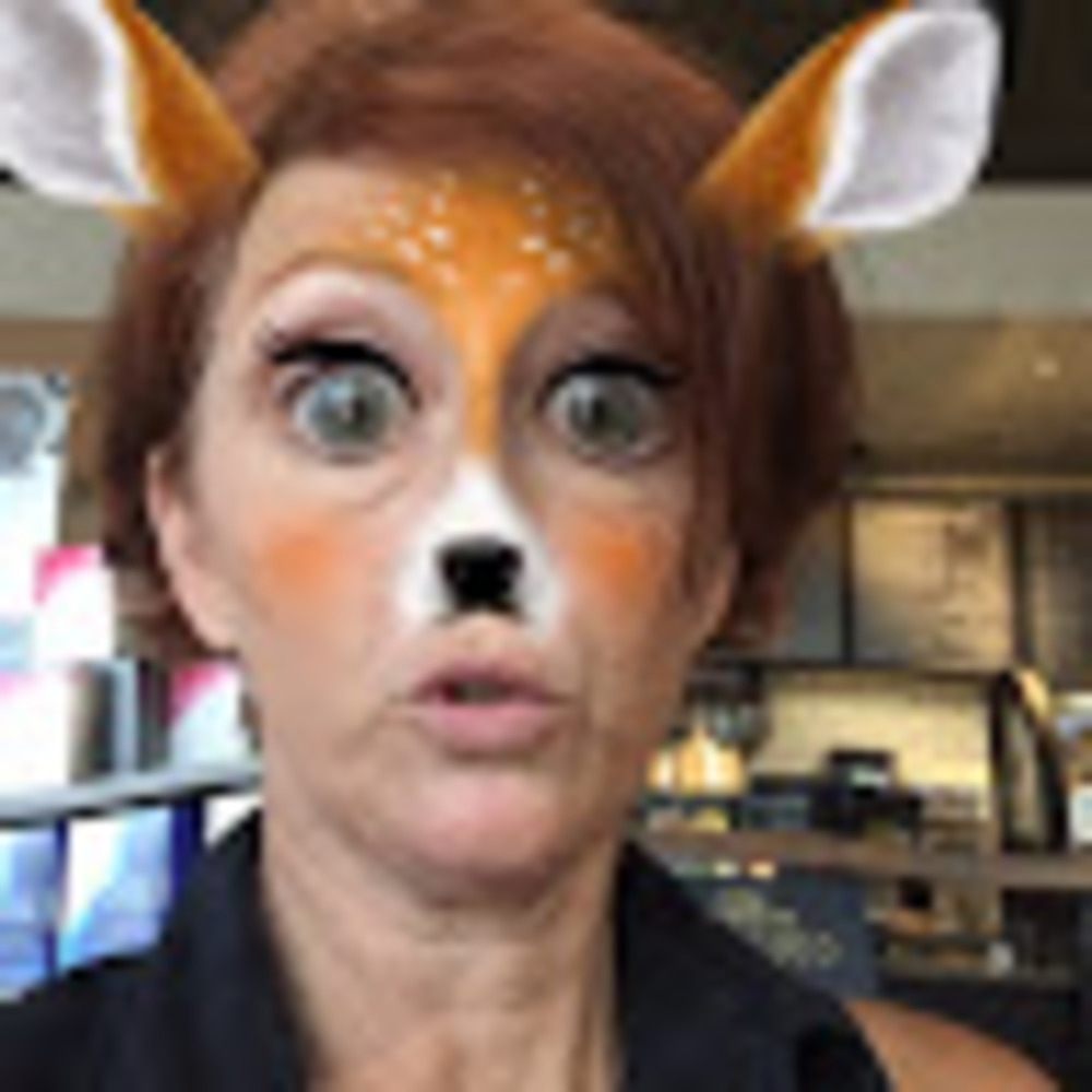 Meet your Posher, Holly